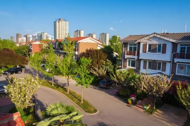 纸杯蛋糕 | 繁花五月，，，，，唯爱绵绵